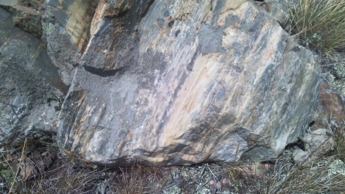 Гигантские зелёные валуны для ландшафтного дизайна весом более 5 тонн купить в Нефтеюганске